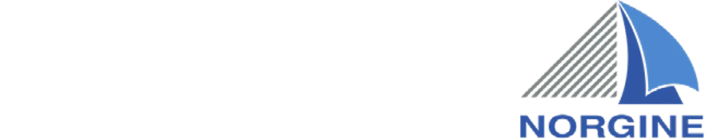 Logo Norgine